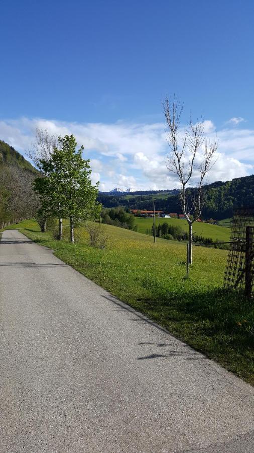 Fewo Friado Im Ferienpark Oa - Ohne Zusatzkosten Nach Anreise - Mit Hallenbad, W-Lan, Pkw-Garage, Kurtaxe Mit Allgaeu-Walser-Pass, Bett- Und Handtuch-Waesche Sowie End-Reinigung Missen-Wilhams Ngoại thất bức ảnh